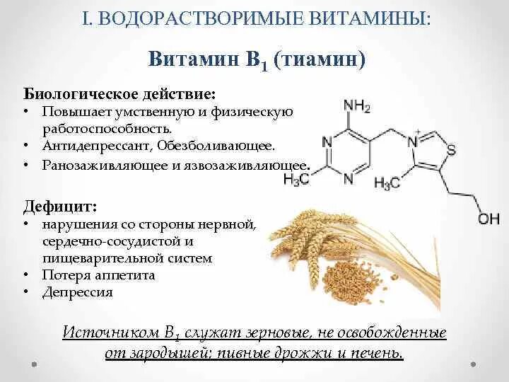 Водорастворимые витамины витамин в1. Биологическое действие витамина б1. Витамин б1 механизм действия. Витамин б1 биологические функции. Витамин в 1 функции