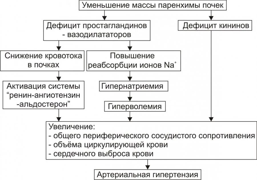 Механизм развития артериальной гипертензии при заболеваниях почек. Поражение почек при артериальной гипертензии патогенез. Механизм развития артериальной гипертензии при патологии почек. Ренопаренхиматозная гипертензия патогенез.