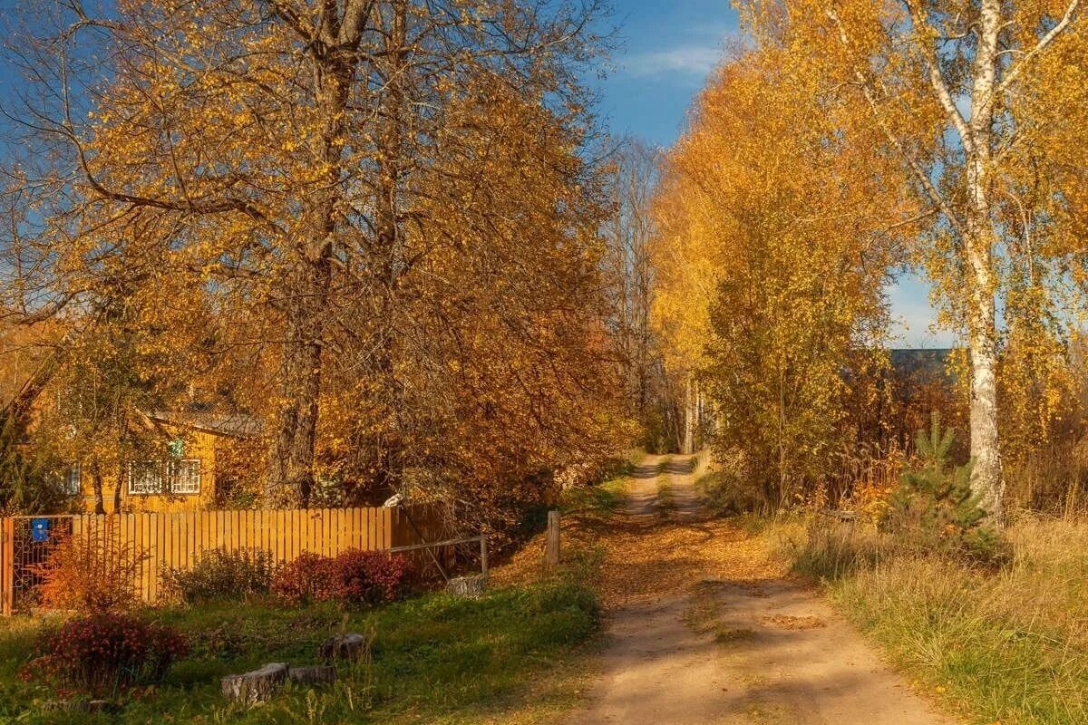 Св осень. Поселок Каменецкий Золотая осень. Осень деревня Зенькино. Золотая осень в деревне. Деревня осенью.