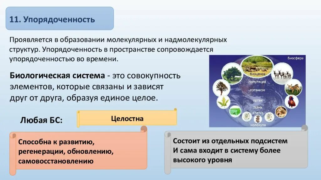 Высокая упорядоченность в биологии. Системы в биологии примеры. Упорядоченность живых систем. Упорядоченность в биологии примеры.