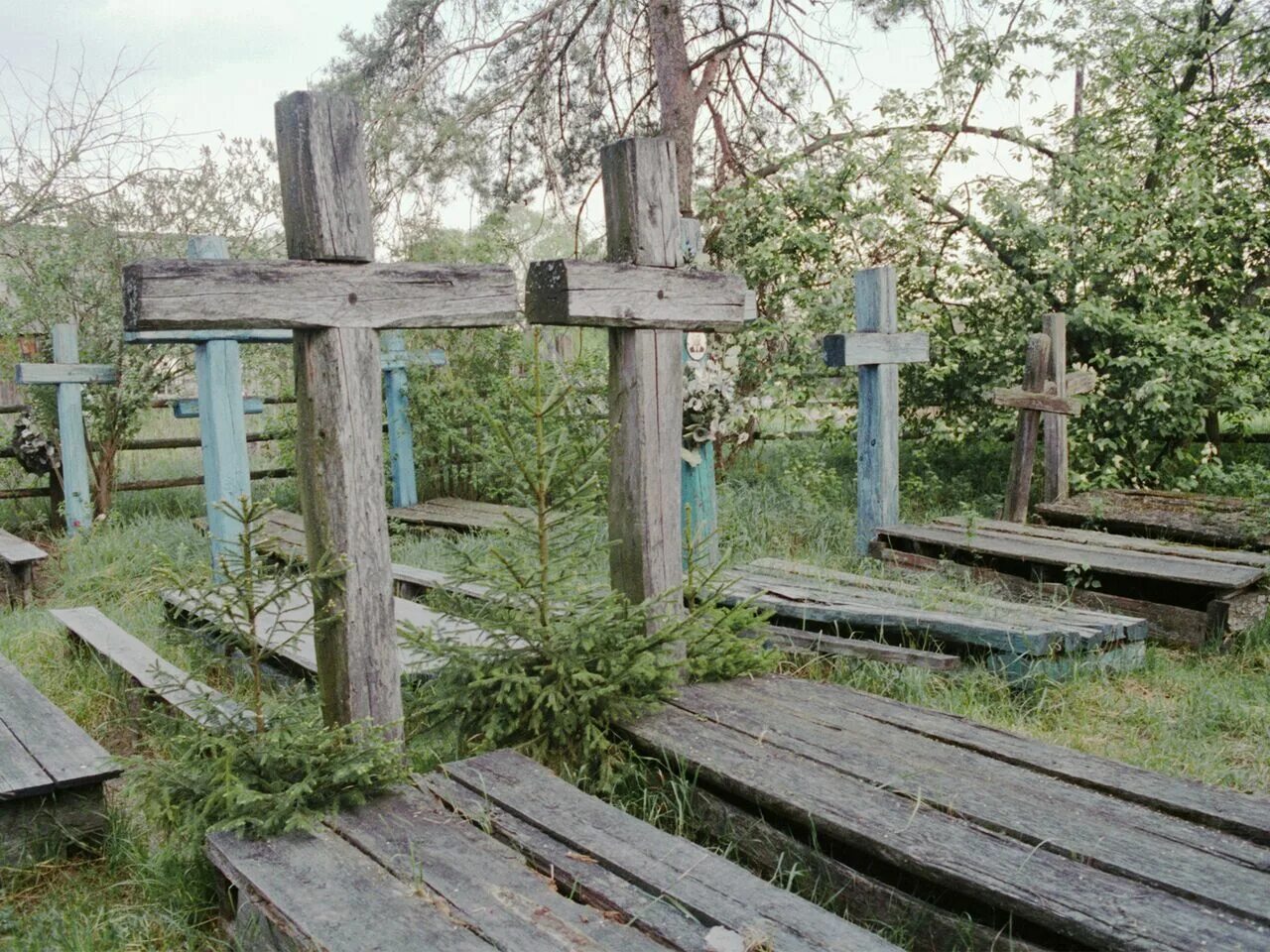 Живое кладбище могилы. Кладбище Шабаново Кемеровская. Цветная фотография математика на кладбище.