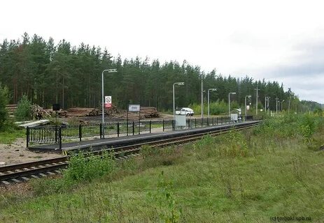 Санкт петербург яппиля