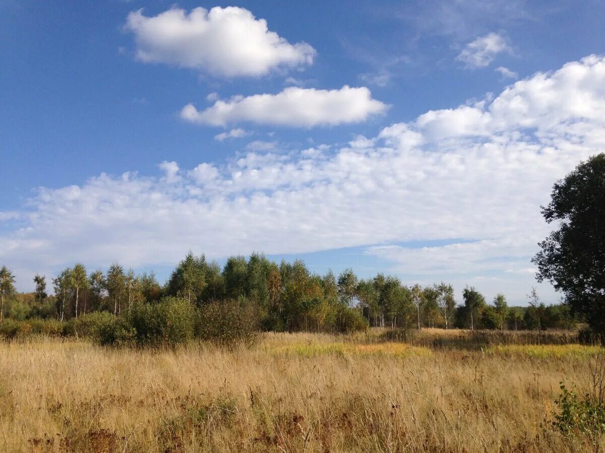 Холмы перелески луга. Перелески Костанайская область. Перелески деревня в Казахстане. КП перелески. Деревня Нижний перелесок Новгородская область.