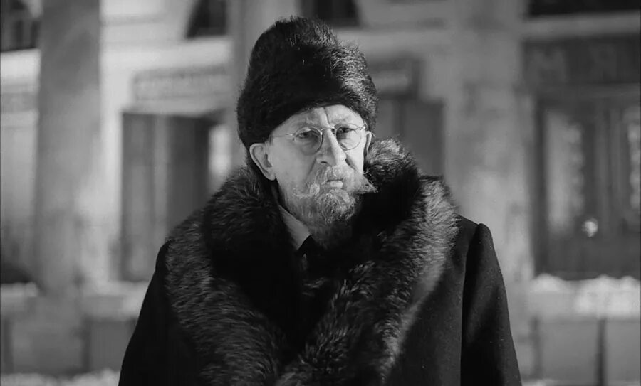 Председатель из собачьего сердца