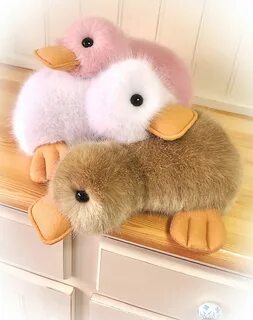 Fluffing duck