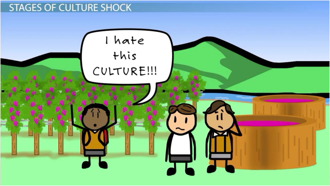 Шик шак шок мем. Culture Shock. Культурный ШОК иллюстрации. Cultural Shock Stages. Культурный ШОК иллюстрации Китай.