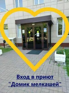 Адрес приюта домик мелкашей