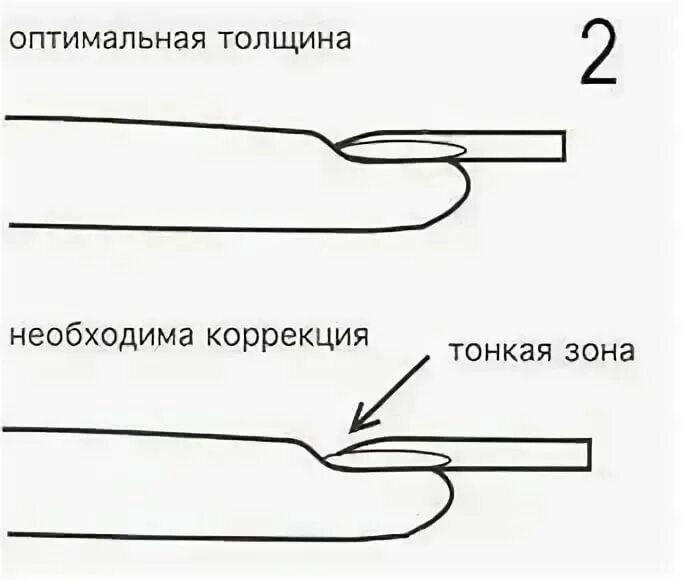 Ноготь вид сбоку схема. Схемы моделирования ногтей. Схема опила ногтей. Апекс ногтя схема. Курс апекса