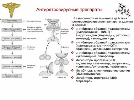 Принцип действия препарата