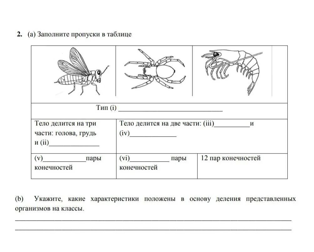 Заполни пропуски в таблице биология. Сор по биологии в 7 классе. Задания по биологии заполнить пропуски. Заполните пропуски в таблице тело делится на три части. Соч по биологии 7 класс