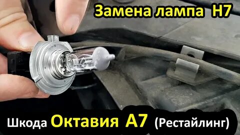 Передние лампочки шкода а5
