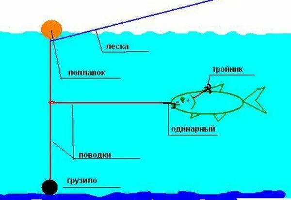 Ловля на живца на поплавочную удочку. Ловля щуки на донные снасти на течении. Osnastka udocki dlia lovli scuki na ZYVCA. Оснастка удочки для ловли щуки на живца. Щука на поплавок на живца оснастка.