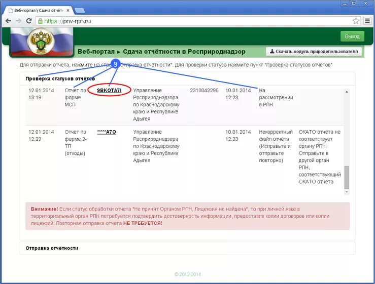 Отчет в Росприроднадзор. Росприроднадзор сдача отчетности. Образец отчета в Росприроднадзор. Отчет сдан. Лк рпн ру