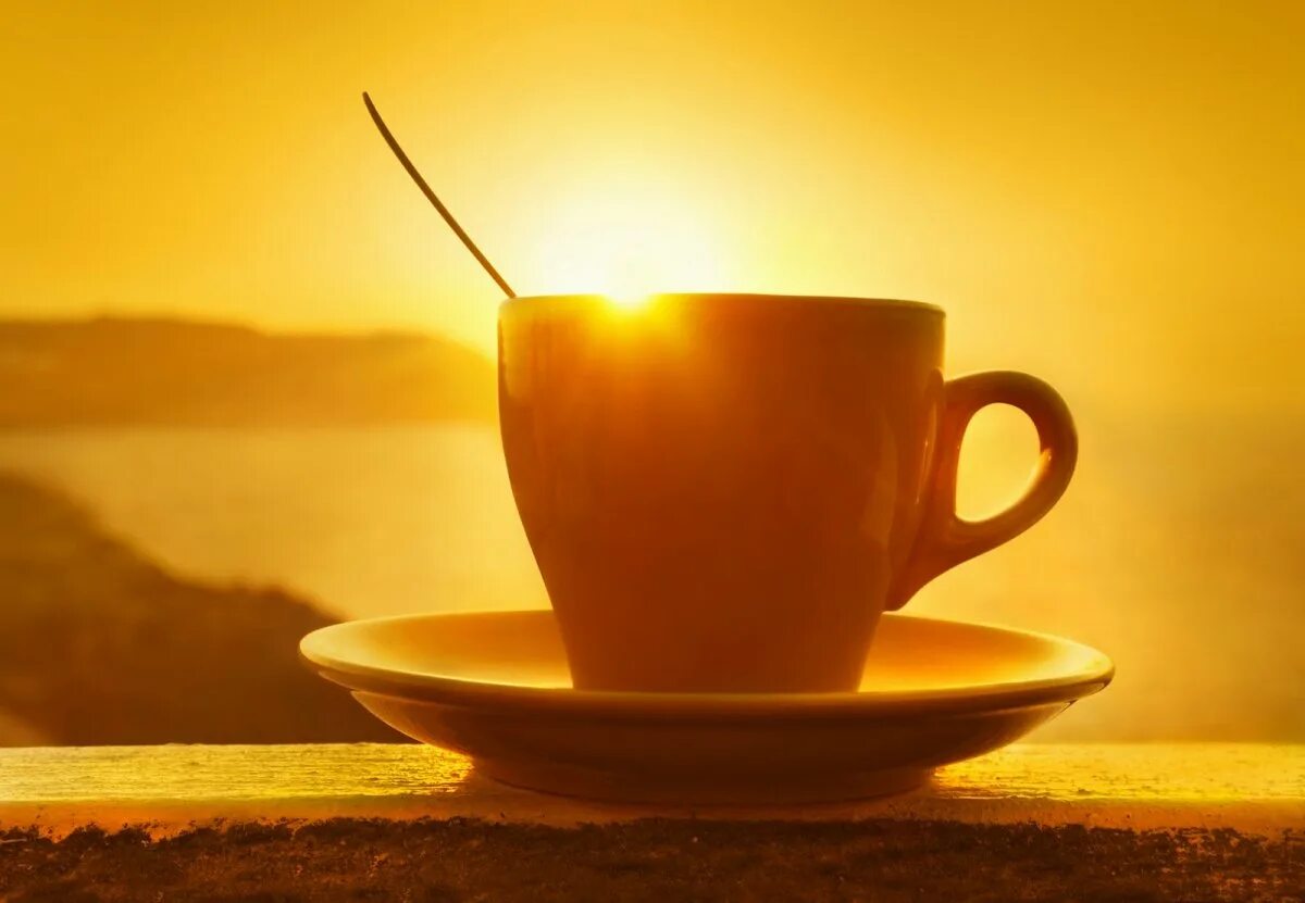 Бодрого утра. Утро кофе солнце. Утро солнце чашка кофе. Доброе утро солнце кофе. Солнечное утро и кофе.
