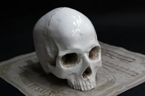 Череп без