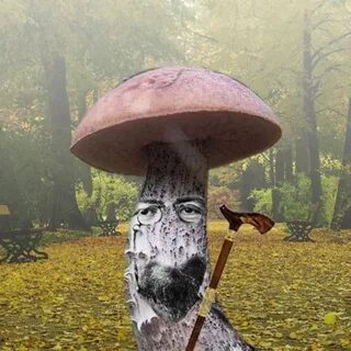Цветаева ох грибок ты мой грибочек