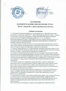 Положение о комитете по охране