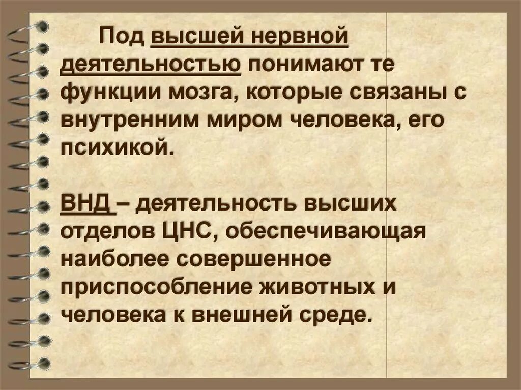 Высшая нервная деятельность человека презентация. Высшая нервная деятельность. Высшая нервная деятельность (ВНД). Основа высшей нервной деятельности человека.