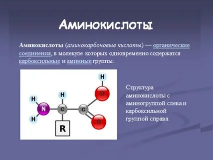 Аминокислоты биология 10 класс