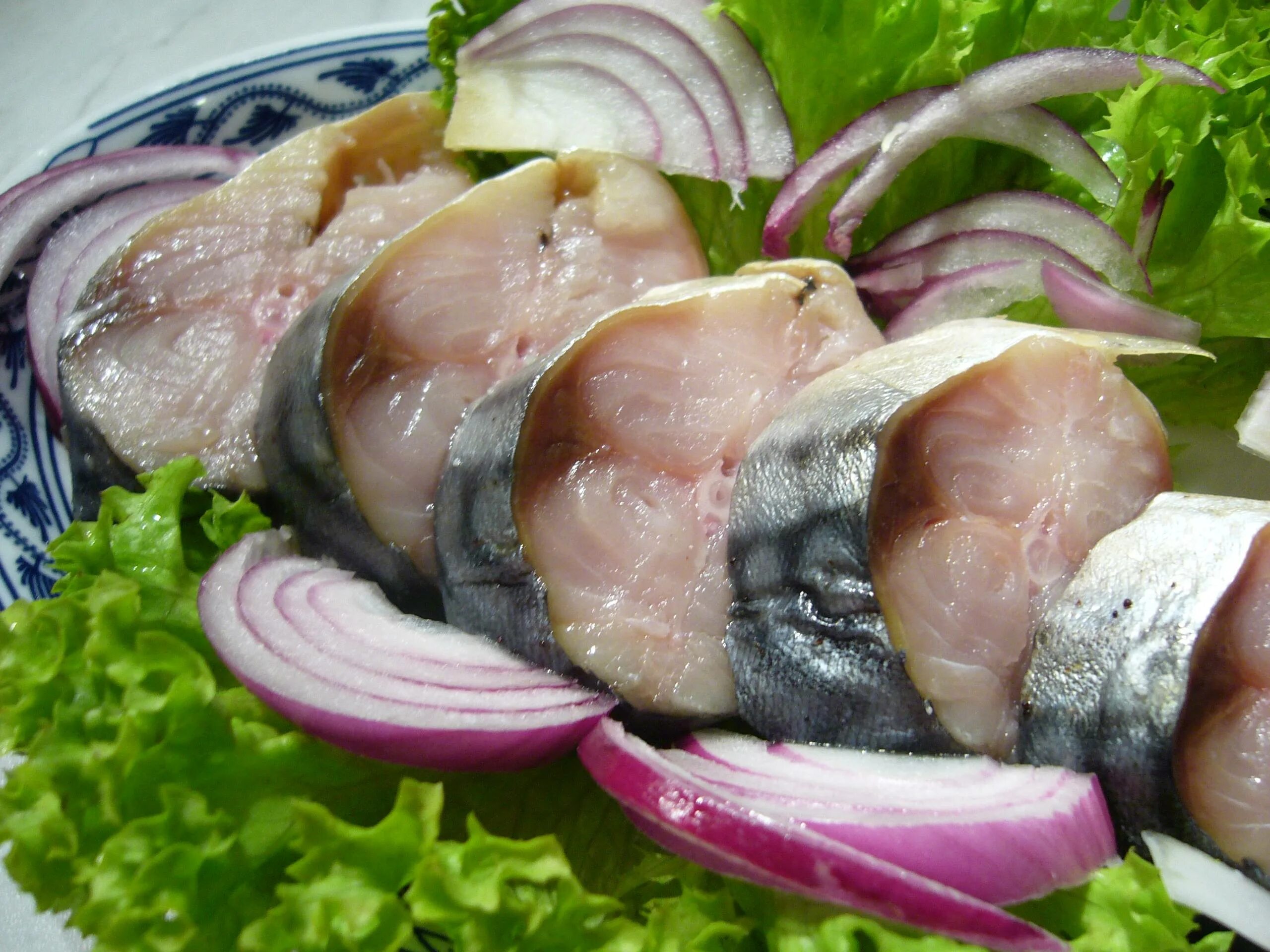 Скумбрия маринованные быстро. Скумбрия пряного посола. рыба скумбрия сельдь. сагудай из скумбрии. скумбрия пряная малосольная.