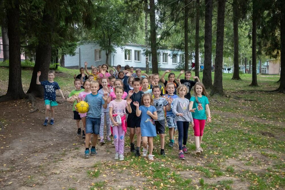 Сайт лагерь березка ярославль. Берёзка лагерь Ярославль. Лагерь Березка Ярославская область. Оздоровительный лагерь Березка Ярославль. Лагерь Березка Саратов 2022.