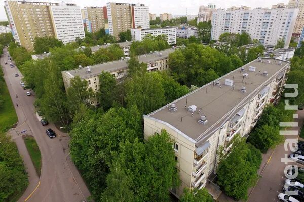 Неталл зеленоград. Зеленоград 9 микрорайон. пятиэтажки в зеленограде. зеленоград пятиэтажки в 9 микрорайоне. зеленоград пятиэтажки 4 микрорайон.