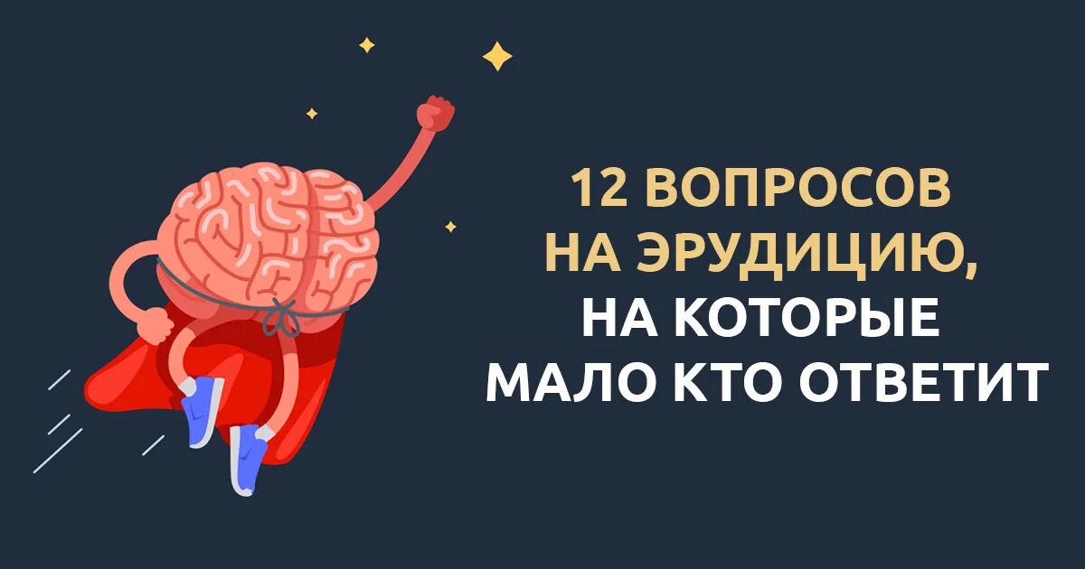 Новые тесты на эрудицию с ответами. Тесты на эрудицию. Вопросы на эрудицию. Сложный тест на эрудицию.