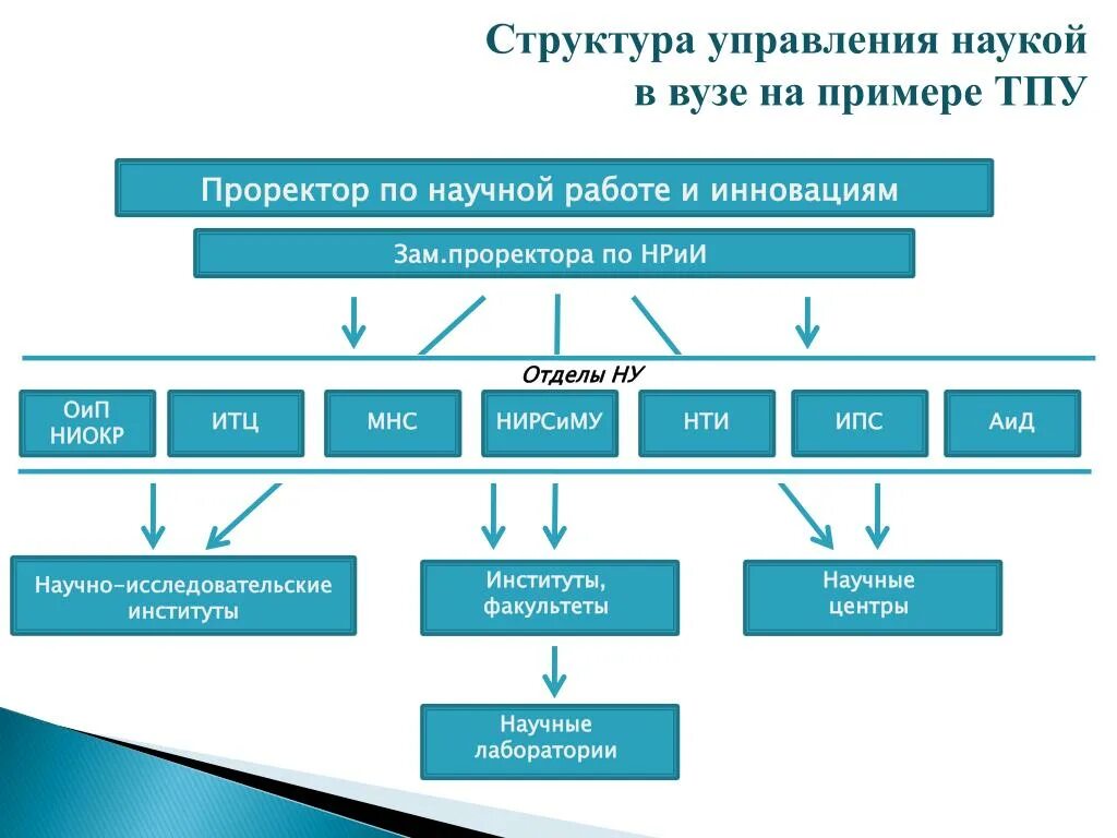 Структура управления институтом схема. Вуз структурная схема управления. Организационная структура ТПУ. Структура научного института схема. Управление исследовательскими организациями