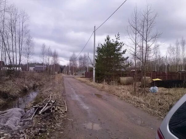 Участок снт родничок. СНТ Родничок массив поги. СНТ Родничок Тосненский район. СНТ Родничок Выборгский район. СНТ Родничок массив поги Тосненский р-н.