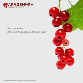 Красная смородина витамины
