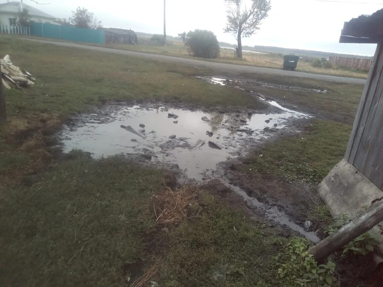 Нурижат омарова. Гамзаева нурижат. Погода сунгурова. Погода сунгурова. Раисия сунгурова.