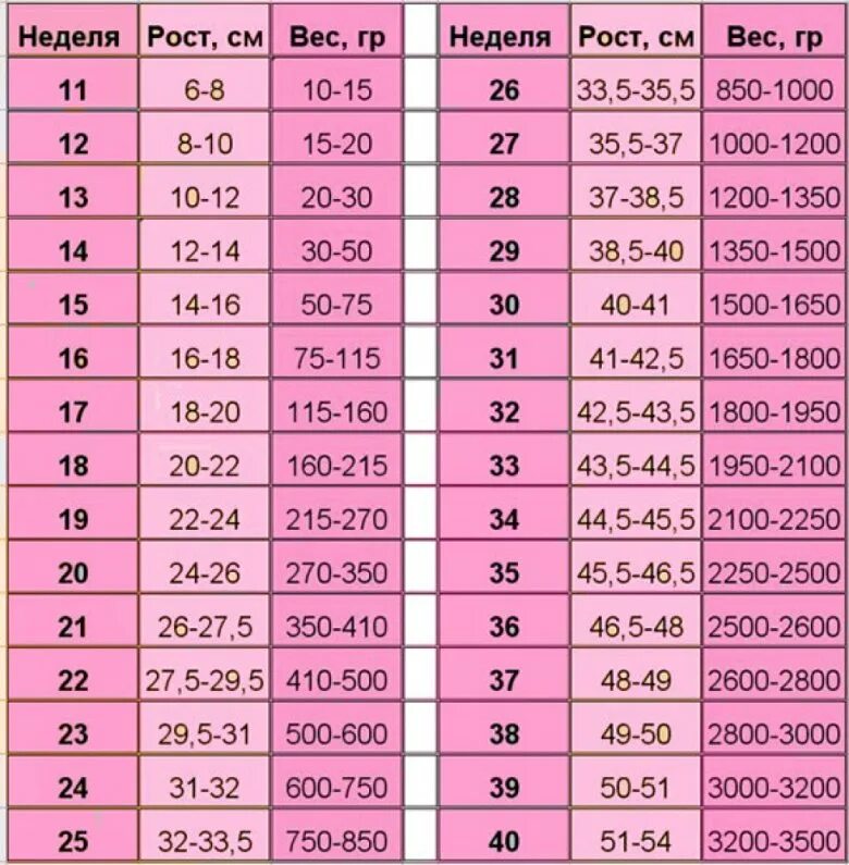 31 месяц это сколько. Вес плода в 31 неделю беременности норма. Вес ребёнка при беременности по неделям таблица норма. Вес ребёнка на 22 неделе беременности норма. Вес ребёнка при беременности по неделям таблица.