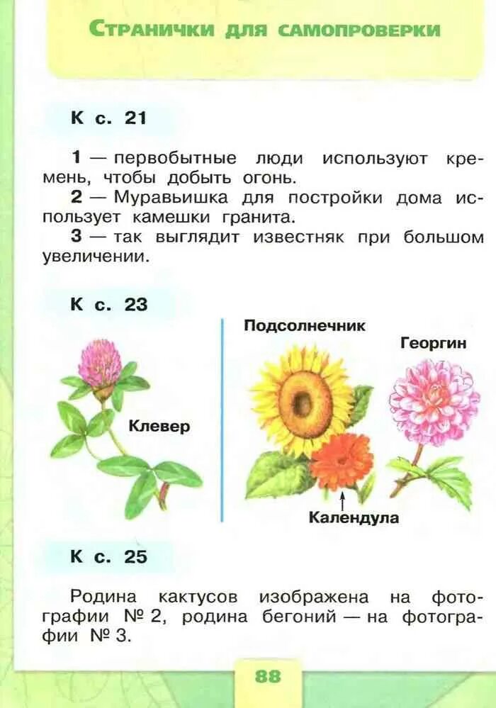 Окр мир 1 кл 1 часть. Страничка для самопроверки. Странички для самопроверки по окружающему миру. Окружающий мир 1 класс. Страницу для самопроверки по окружающему миру.