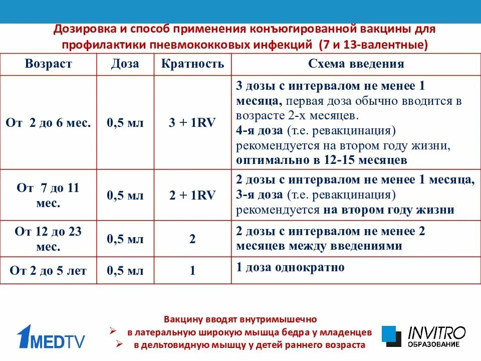 Пневмококковая вакцина название. Вакцина против пневмококка схема вакцинации. Прививка от пневмококка схема вакцинации. Пневмококковая инфекция вакцинация детей график. Схема вакцинации против пневмококковой инфекции.