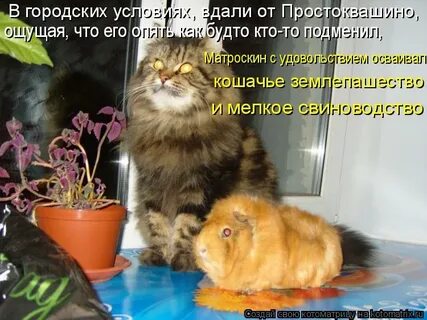 Меня как будто кто то подменил