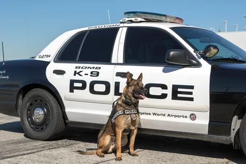 k9unit-0315-04 - Los Angeles Airport Peace Officers Association.