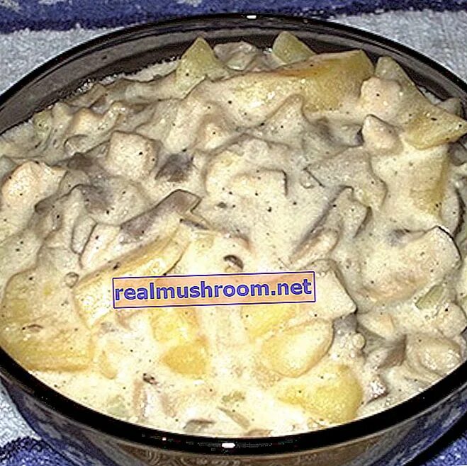 Опята с картошкой в духовке. Курица с опятами на сковороде. Картошка с опятами в духовке. Жареная картошка с грибами. Картошка жареная с опятами и луком.