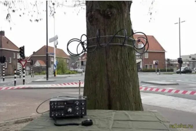 Tree radio. Tree radio. Tree radio. Dark tree. Спиральная кв антенна теслы.