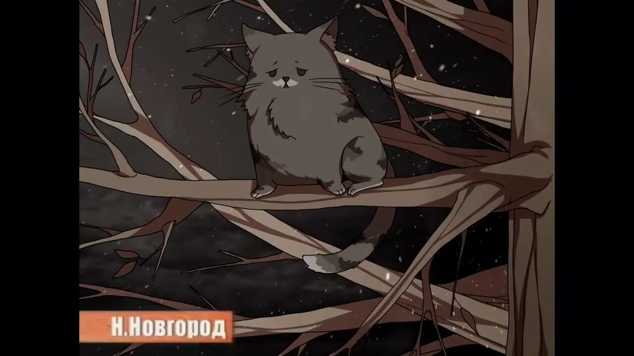 Спас кота мем. Спас кота. зато я спас кота. я спас кота я выполнил приказ.