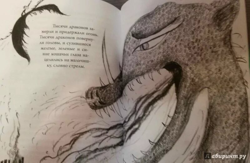 Книга в ухе как приручить дракона. Драконы из книги как приручить дракона крессида коуэлл. крессида коуэлл книга 13.