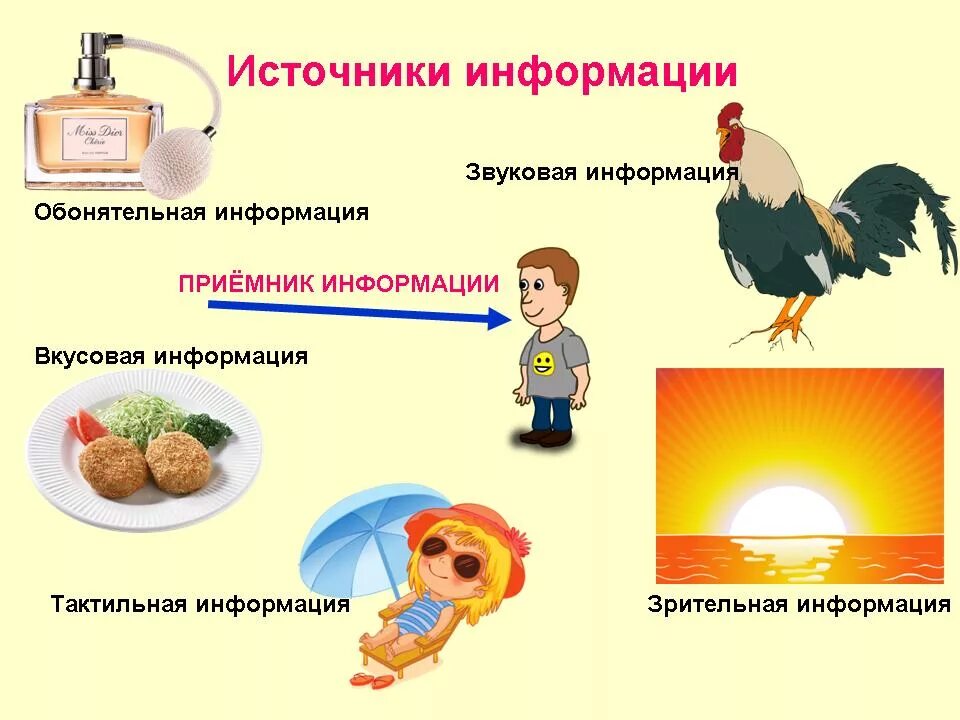Приемник это в информатике. Источник и приемник информации примеры. Человек приемник информации. Источник и приемник информации примеры. Источник информации приемник информации.