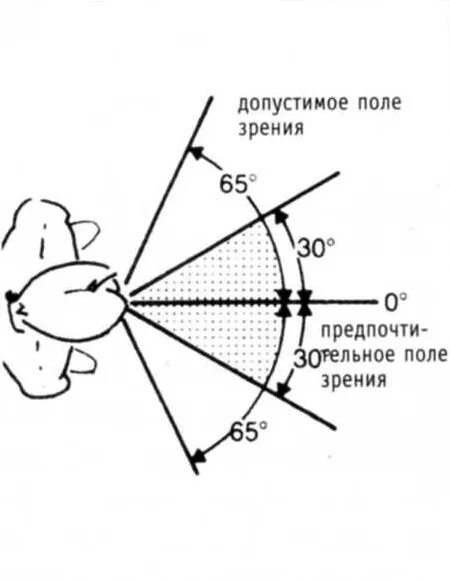 Периметрия углы полей зрения. Нормы поля зрения человека в градусах. Угол периферийного зрения человека. Угол зрения человеческого глаза в градусах. Центральное поле зрения