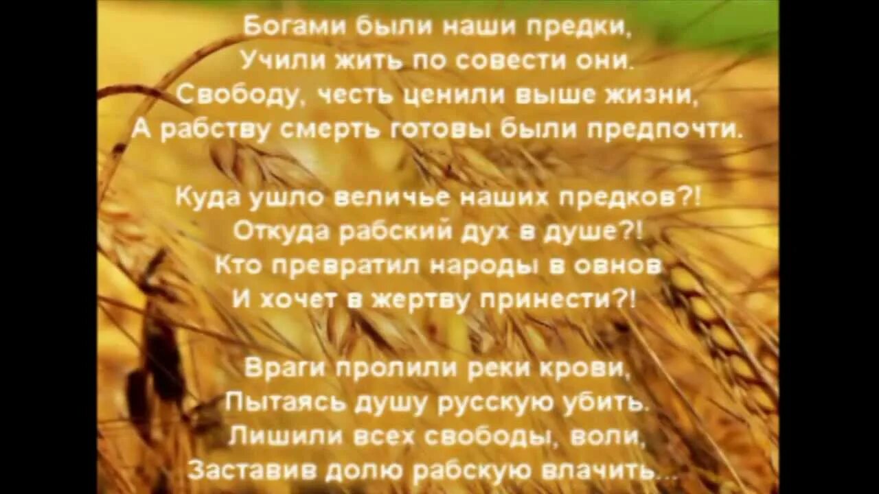 Учиться жить песня. Богами были наши предки. Боги наши суть предки наши. Богами были наши предки учили жить по совести они. Сколот внуки богов текст.