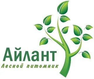 Сайт айлант жкх