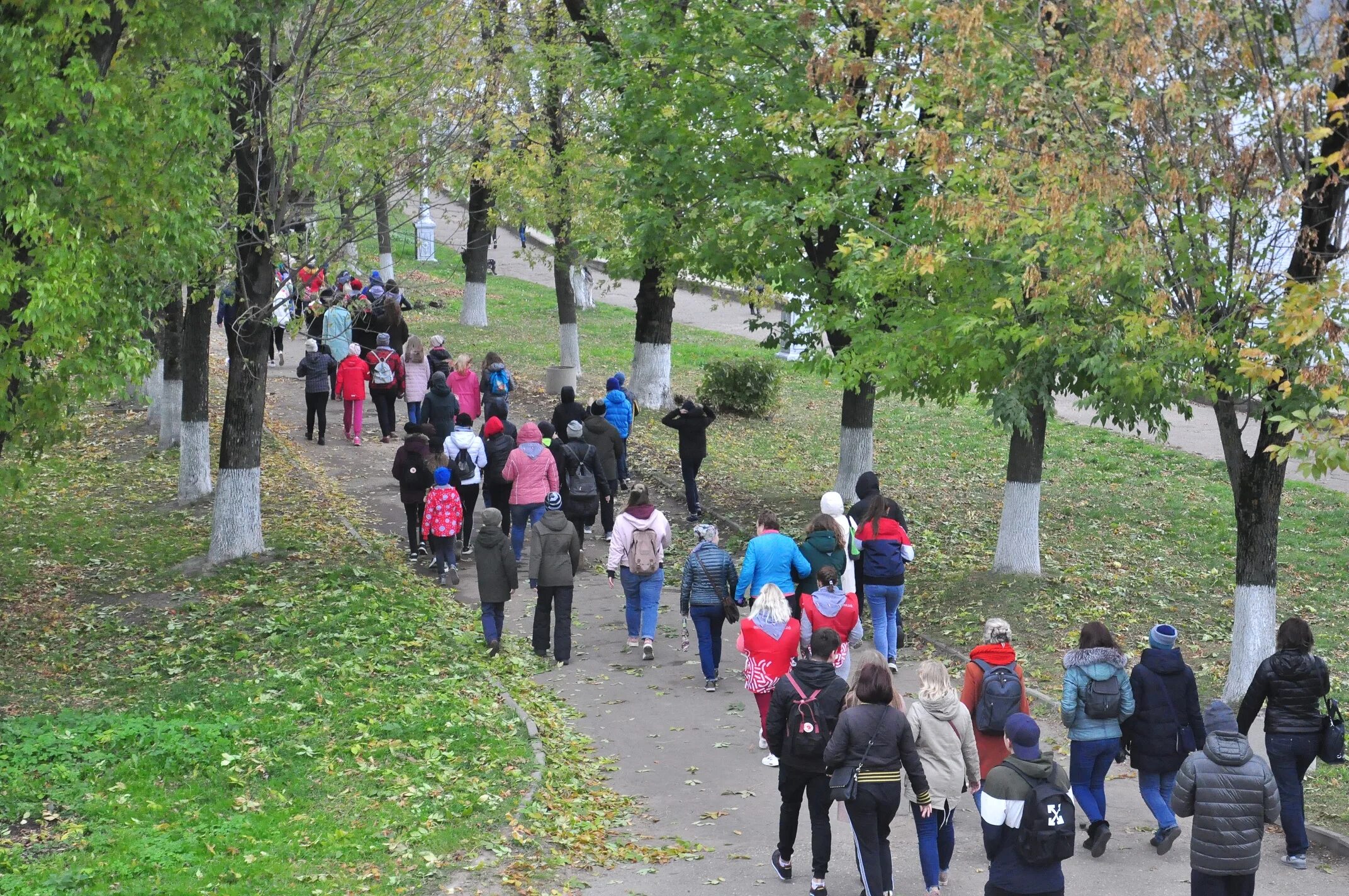 Люди живущие в твери. 10 Тысяч шагов к жизни. 10000 Шагов путь к здоровью. 10 Тысяч шагов фото. Маршруты здоровья 10 000 шагов.