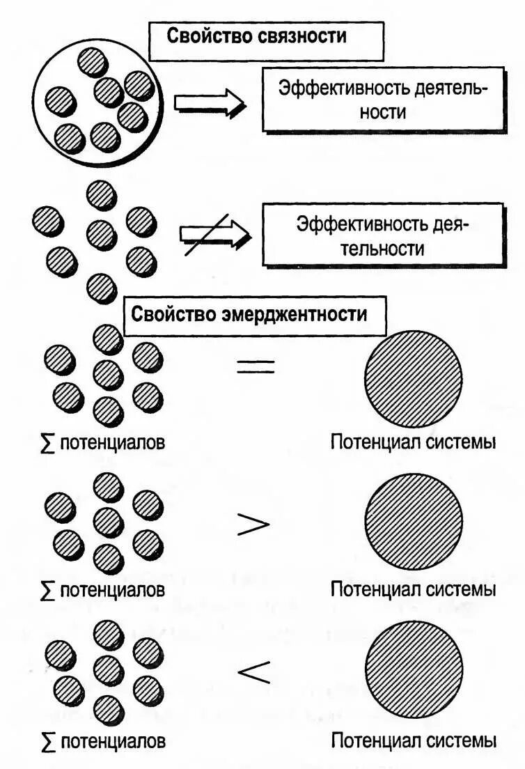 Свойство связности. Свойства организации. Связность системы.