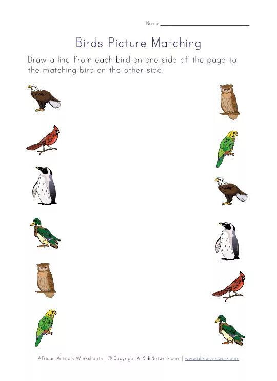 Тема птицы на английском для детей. Birds tasks for Kids. Birds Worksheets. Birds Worksheets for Kids.