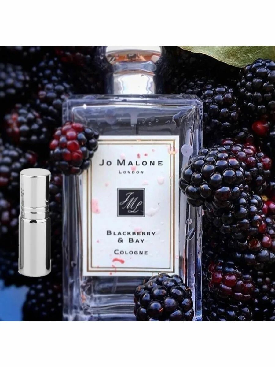 Аромат blackberry. Аромат blackberry. Аромат blackberry. Jo malone blackberry bay cologne, 100 ml. Духи джо малон ежевика.