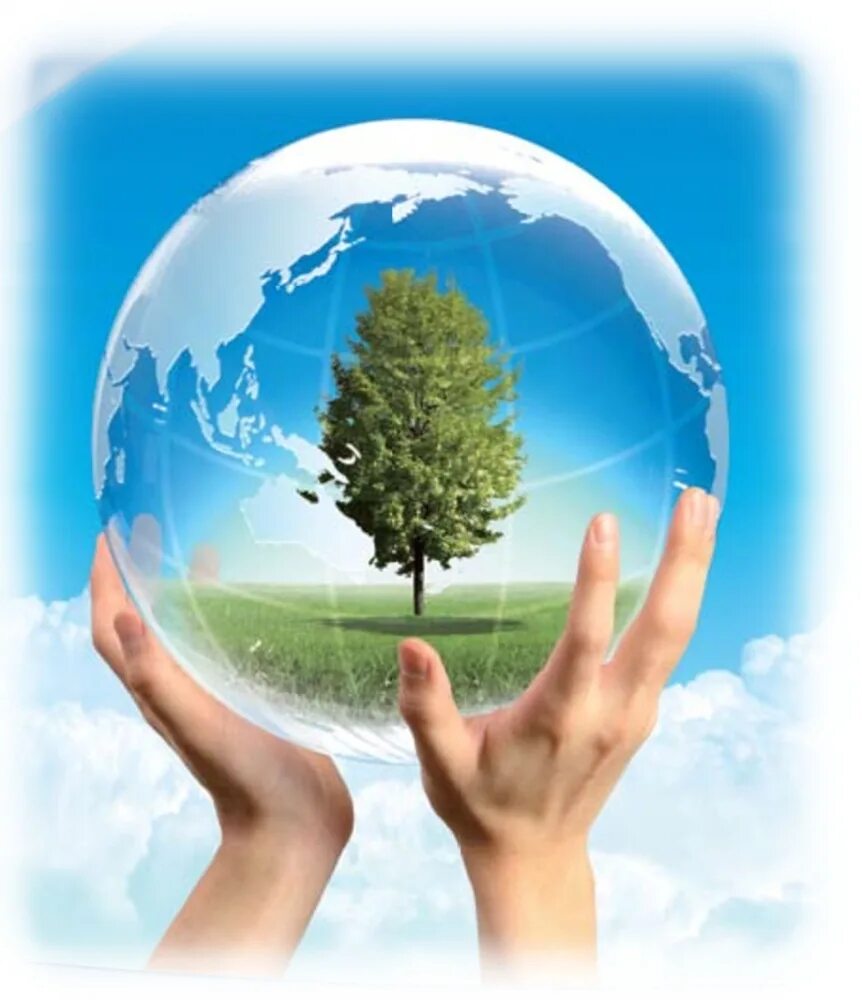 Тест защита окружающей среды. Экология. Защита природы. Охрана природы и окружающей среды. Экология защита природы.
