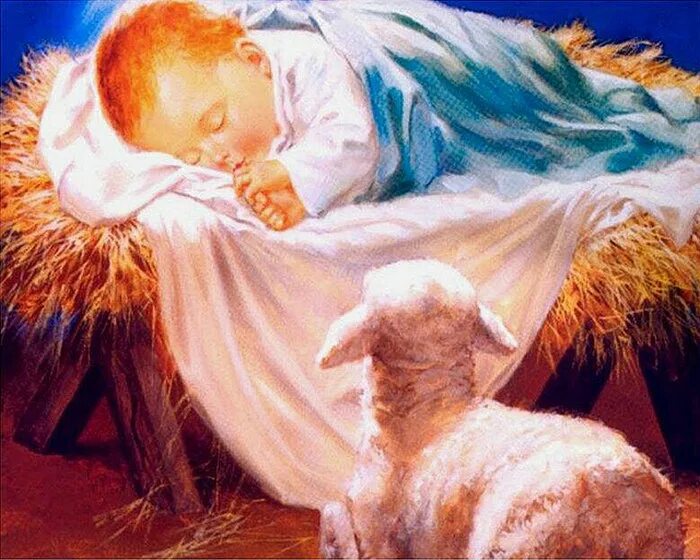 молитва на рождество христово. появилась на свет доченька. день волка. младенец иисус родился. афоризмы на чеченском о культуре.